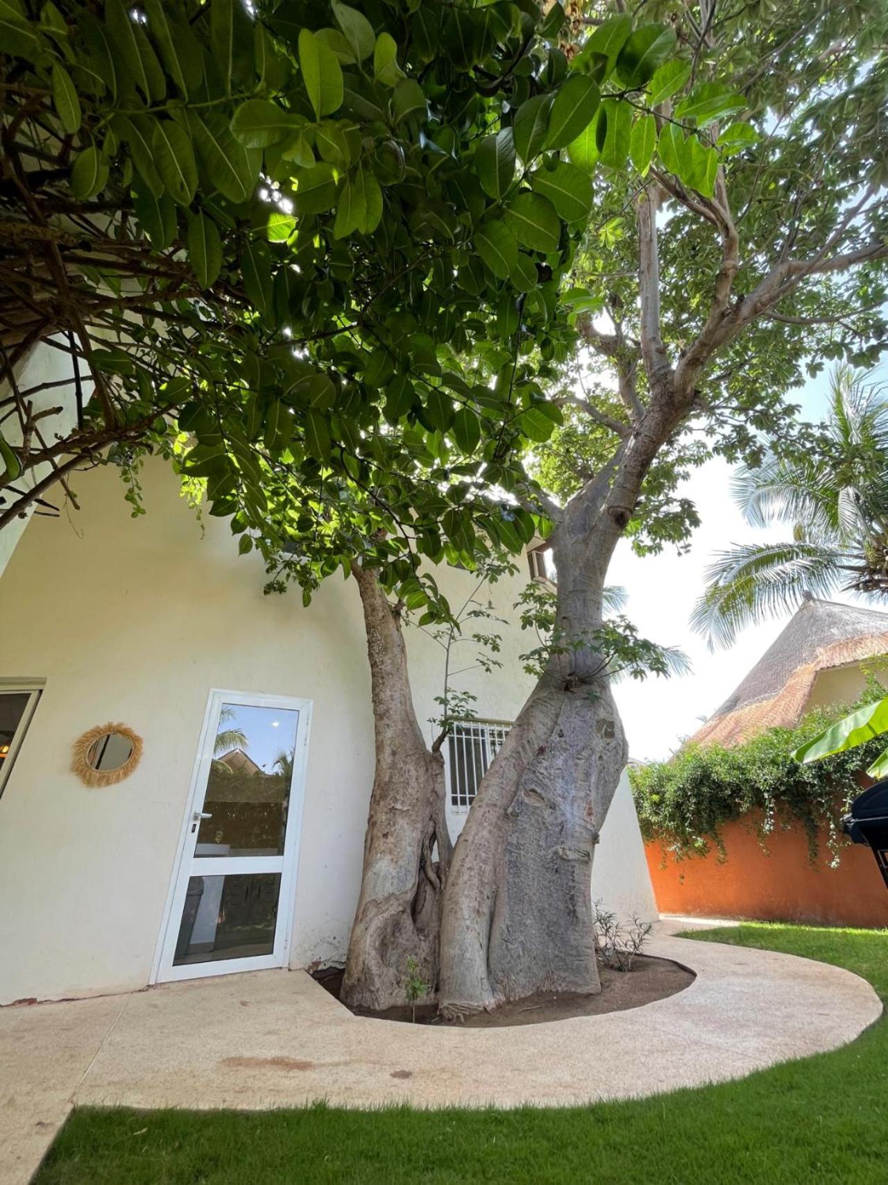 Agence Adjana Resort - Residence Du Port 3 Sali Tapé المظهر الخارجي الصورة